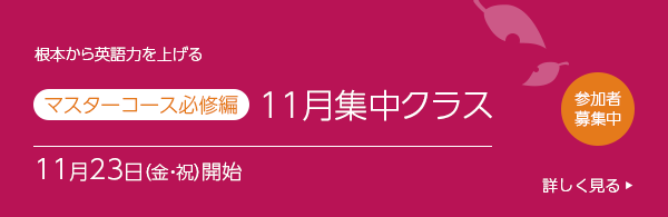 マスターコース必修編 参加者募集中
